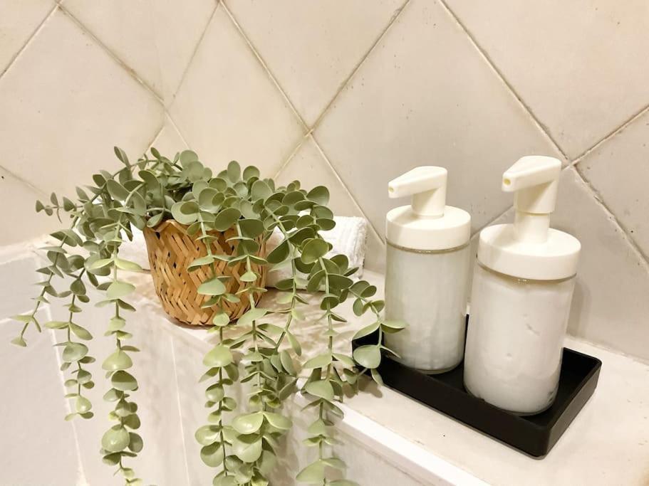 Ks Costa Mayka - - Kaleria Apartment