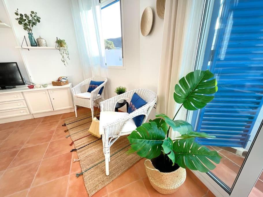 Apartment Ks Costa Mayka - - Kaleria